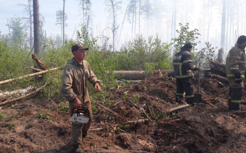 Тушение пожара в мордовском заповеднике: работу осложняют валежники