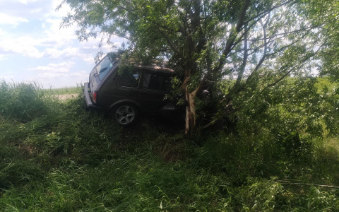 В Мордовии «Нива» врезалась в дерево: пассажир погиб, водитель госпитализирован