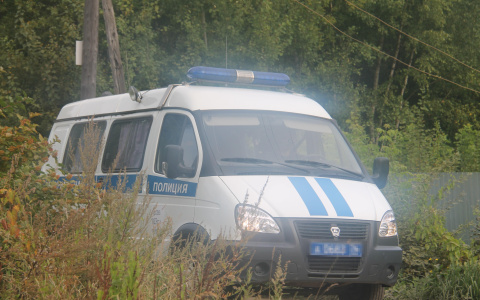Задержан житель Мордовии, подозреваемый в жестокой расправе над родителями: его искали более 100 полицейских