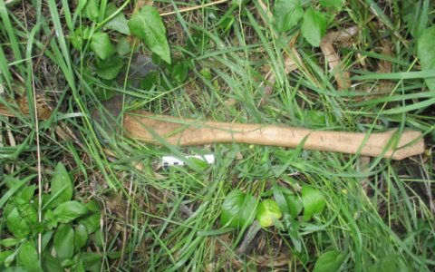 В Мордовии пьяный пенсионер вонзил топор в голову соседа