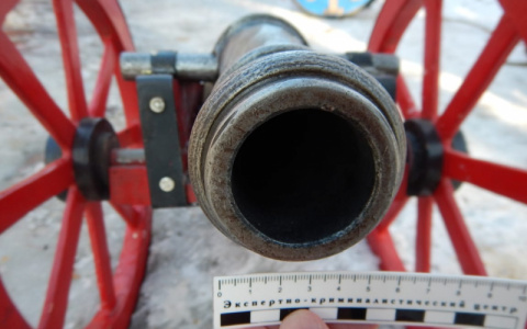 В Мордовии полицейские забрали у реконструкторов самодельную пушку