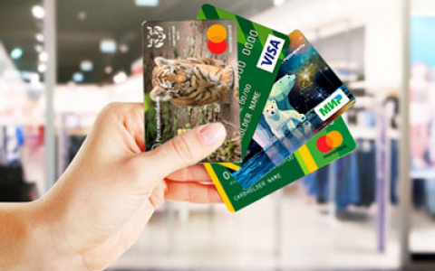 Россельхозбанк с начала года выдал более 500 кредитных карт жителям Республики Мордовия