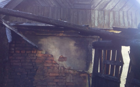 У жителя Мордовии загорелся дом из-за тополиного пуха: мужчина умер от сердечного приступа