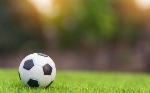 Два игрока футбольной «Мордовии» заинтересовали «Сочи»