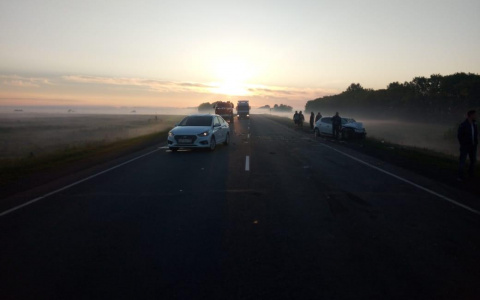 На трассе в Мордовии из-за тумана произошло серьезное ДТП: пострадали пятеро