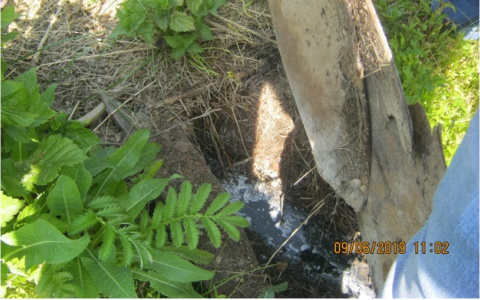 Владельцы десяти частных домов отравляли Саранку канализационными стоками