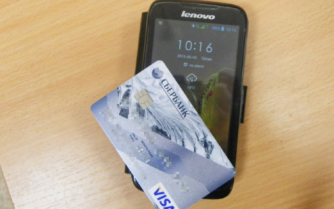 В Саранске молодой педагог попала в лапы мошенников из-за любви к собакам