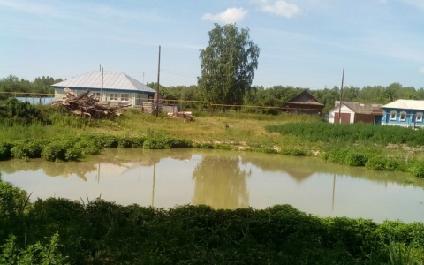 Житель Мордовии в одиночку приводит в порядок сельский пруд