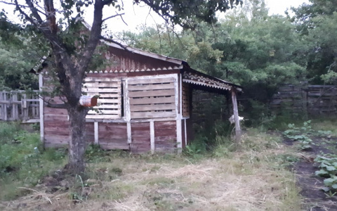 Житель Саранска сильно обжег лицо, решив избавиться от мусора на дачном участке