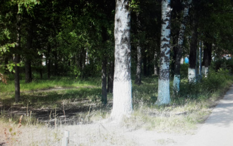 Безработный житель Мордовии избил датчанина и отобрал у него кошелек