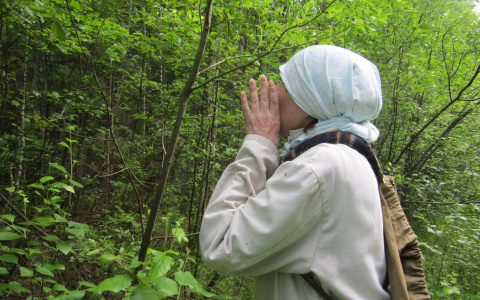 Ушла за грибами и заблудилась: в Мордовии нашли пропавшую жительницу Сарова