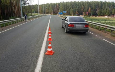«Я ехал к другу и сбил его жену… нечаянно»: Пьяный житель Мордовии «отправил» женщину в больницу (видео)
