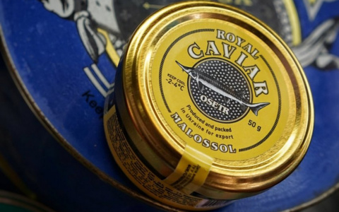 В Саранске будут судить вора-гурмана