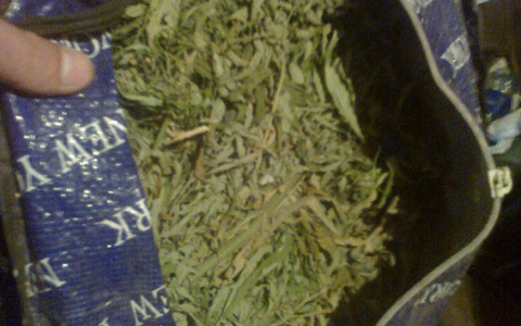 Полицейские Мордовии поймали пассажира поезда, которые вез в сумке крупную партию наркотиков