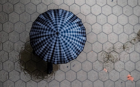 Кратковременный дождь и ветер. Прогноз погоды в Саранске на 21 июля