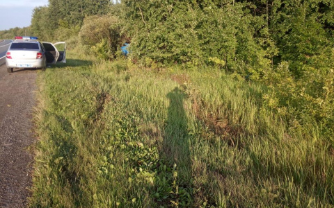 В Мордовии 18-летний водитель разбил «Ягуар»