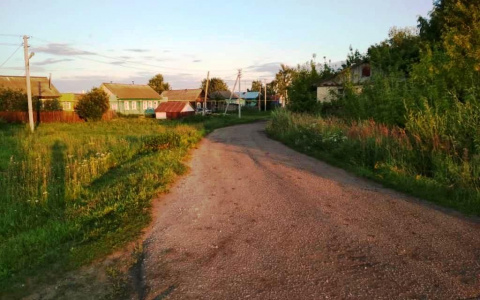 Пьяная жительница Мордовии упала с квадроцикла на ходу