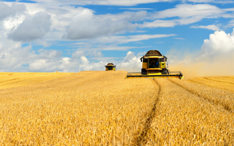 В 2019 году РСХБ направил на кредитование сезонных работ 181 млрд рублей