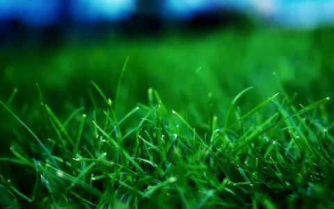 Еще теплее и без дождей. Прогноз погоды в Саранске на 24 июля