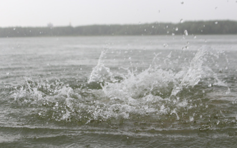 В Саранске на водоеме Зеленая роща утонул молодой человек