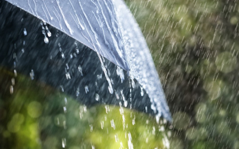 Прогноз погоды в Саранске на 31 июля