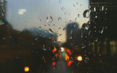 Ветрено и небольшой дождь. Прогноз погоды в Саранске на 2 августа