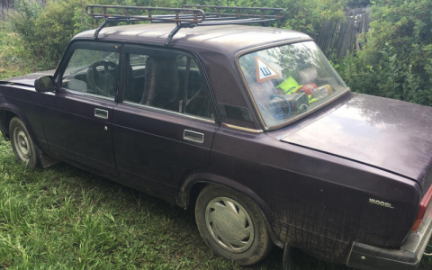 Житель Мордовии узнал об угоне своей машины от полицейских