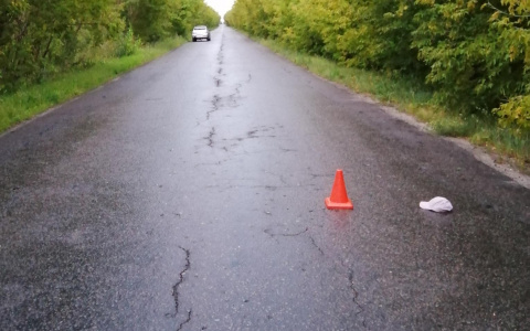 В Мордовии автомобиль переехал лежавшего на дороге мужчину