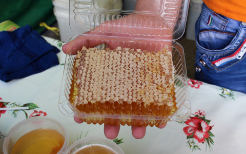 В Саранске вновь пройдет ярмарка меда