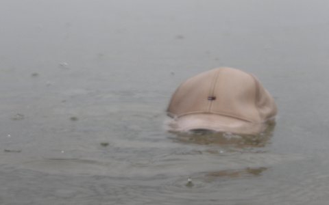 Тело мужчины было обнаружено в одном из водоемов Мордовии