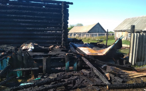 В Мордовии одинокий мужчина погиб при пожаре в собственном доме