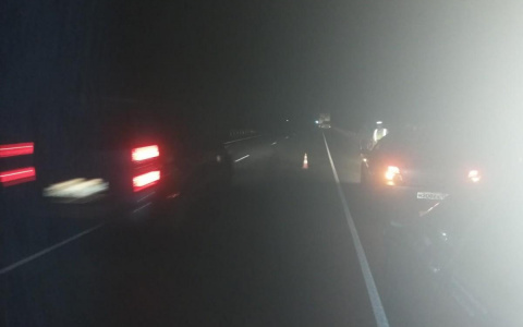 В Мордовии большегруз сбил женщину, пострадавшая впала в кому