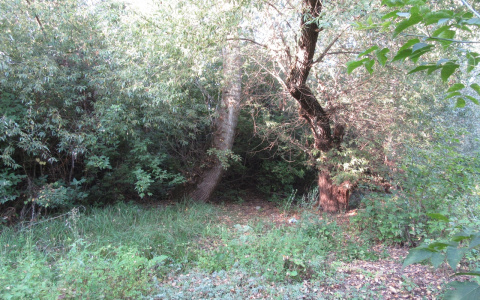 В Мордовии задержали педофила, который утащил школьницу в лес