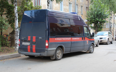 В Мордовии десятилетняя школьница погибла из-за удара током от заряжавшегося телефона