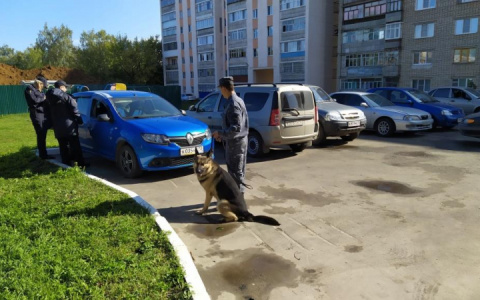 Задержан участник банды автоворов, от действий которой пострадали более 15 жителей Саранска