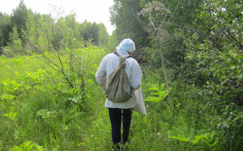 Пенсионерка из Саранска пошла в лес за грибами и заблудилась: ее спасли полицейские