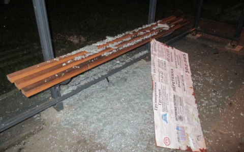 В Саранске пьяный вандал разгромил остановку общественного транспорта