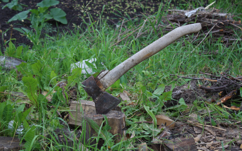 Ревнивый житель Мордовии зарубил топором спящего соперника