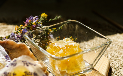 В Саранске пройдет медовая ярмарка