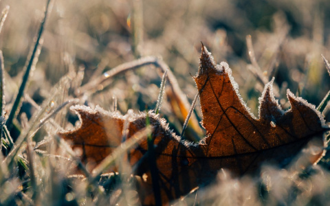 В Гидрометцентре предупредили о резком похолодании