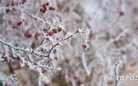 Оперативное предупреждение: в Саранске ожидаются заморозки