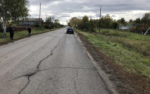 Житель Мордовии оказался в больнице из-за сбитой собаки