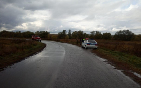 Смертельное ДТП в Мордовии: иномарка перевернулась в кювет