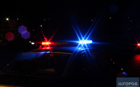 В Саранске в ДТП пострадали женщина и девочка