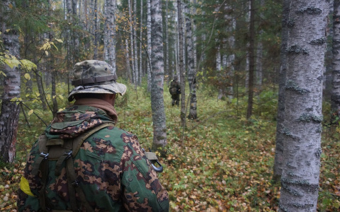 Сможете ли вы пройти тест для разведчиков?