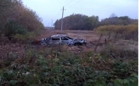 В Мордовии двое молодых людей едва не сгорели заживо в перевернувшемся авто