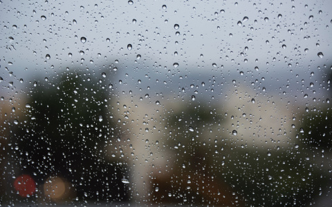 Ветер и дождь: прогноз погоды в Саранске на 30 сентября