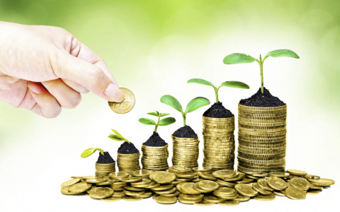 РСХБ стал первым банком, начавшим реализацию программы повышения конкурентоспособности сельхозпроизводителей