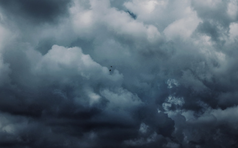 Дожди и ветер: прогноз погоды в Саранске на первое октября