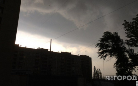 Сильный ветер: в Саранске объявлено оперативное предупреждение